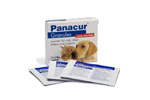 Panacur 22% Granules Cat and Dog  