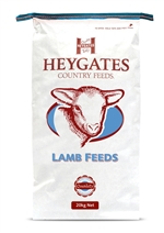 Heygates Hogget Nuts 16% 20kg 419